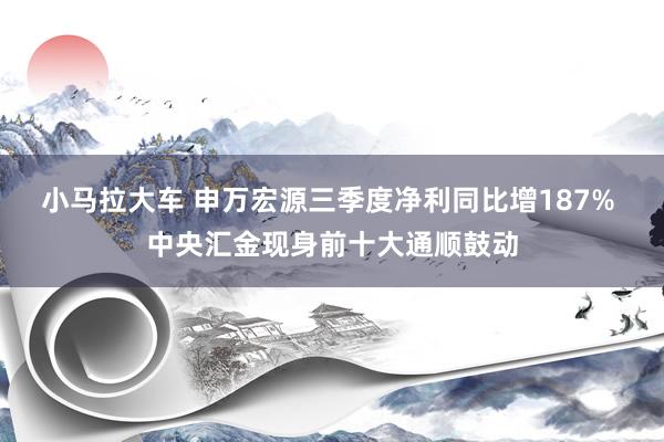 小马拉大车 申万宏源三季度净利同比增187% 中央汇金现身前十大通顺鼓动