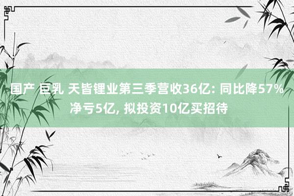 国产 巨乳 天皆锂业第三季营收36亿: 同比降57% 净亏5亿， 拟投资10亿买招待