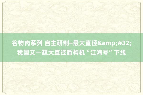 谷物肉系列 自主研制+最大直径&#32;我国又一超大直径盾构机“江海号”下线