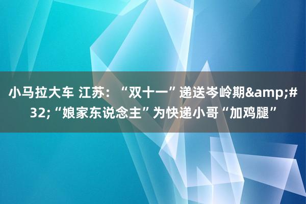 小马拉大车 江苏：“双十一”递送岑岭期&#32;“娘家东说念主”为快递小哥“加鸡腿”