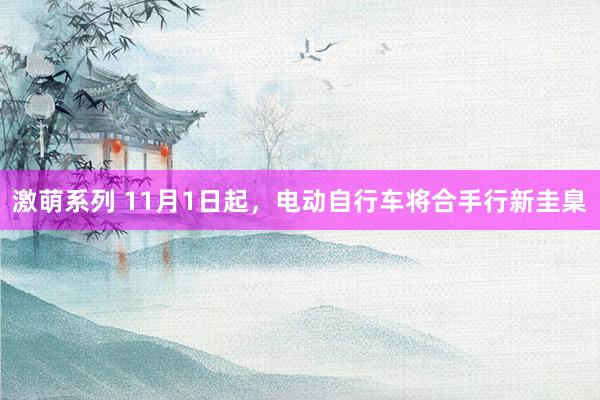 激萌系列 11月1日起，电动自行车将合手行新圭臬