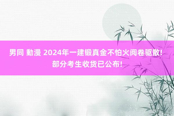 男同 動漫 2024年一建锻真金不怕火阅卷驱散! 部分考生收货已公布!