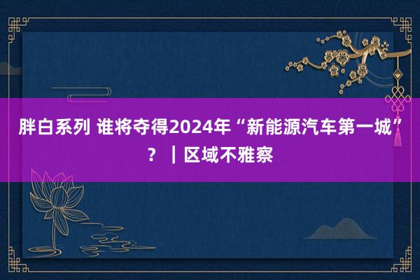 胖白系列 谁将夺得2024年“新能源汽车第一城”？｜区域不雅察