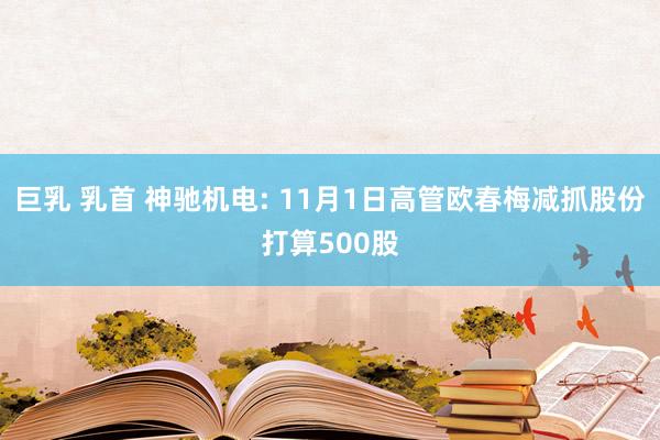 巨乳 乳首 神驰机电: 11月1日高管欧春梅减抓股份打算500股