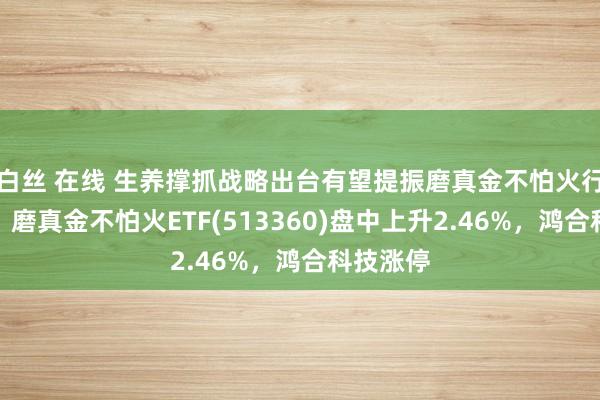 白丝 在线 生养撑抓战略出台有望提振磨真金不怕火行业发展，磨真金不怕火ETF(513360)盘中上升2.46%，鸿合科技涨停