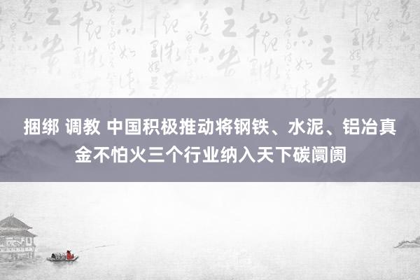 捆绑 调教 中国积极推动将钢铁、水泥、铝冶真金不怕火三个行业纳入天下碳阛阓