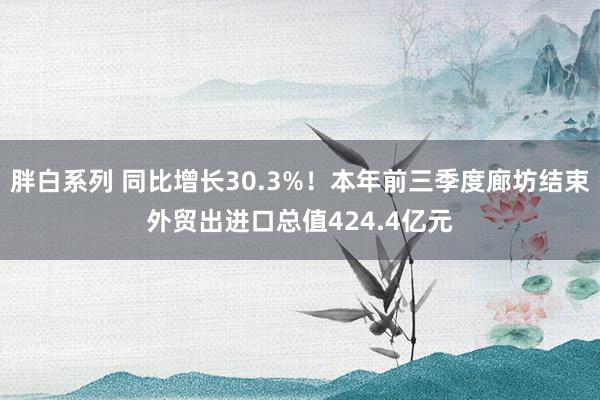 胖白系列 同比增长30.3%！本年前三季度廊坊结束外贸出进口总值424.4亿元