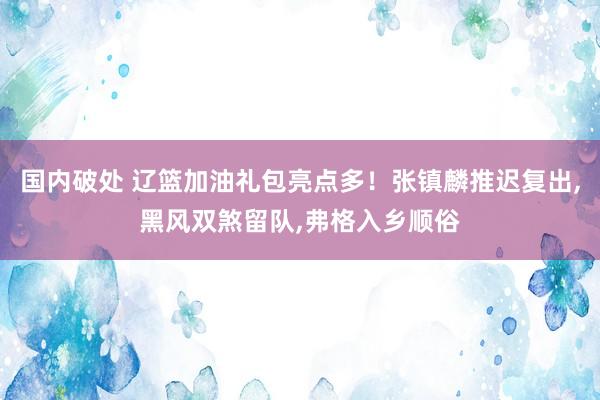 国内破处 辽篮加油礼包亮点多！张镇麟推迟复出，黑风双煞留队，弗格入乡顺俗