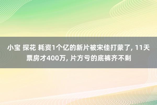 小宝 探花 耗资1个亿的新片被宋佳打蒙了， 11天票房才400万， 片方亏的底裤齐不剩