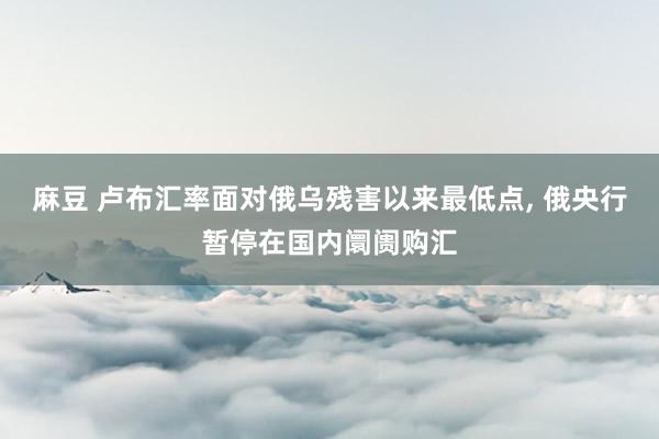 麻豆 卢布汇率面对俄乌残害以来最低点， 俄央行暂停在国内阛阓购汇