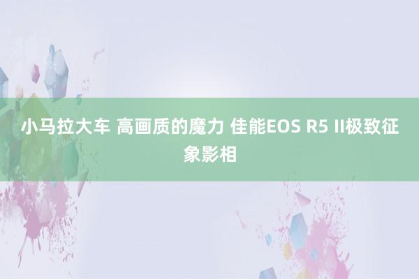 小马拉大车 高画质的魔力 佳能EOS R5 II极致征象影相