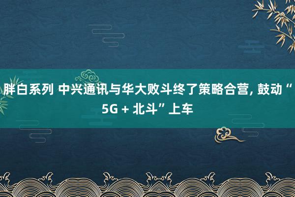 胖白系列 中兴通讯与华大败斗终了策略合营， 鼓动“5G + 北斗”上车