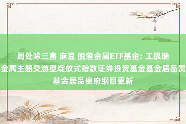 周处除三害 麻豆 脱落金属ETF基金: 工银瑞信中证脱落金属主题交游型绽放式指数证券投资基金基金居品贵府纲目更新