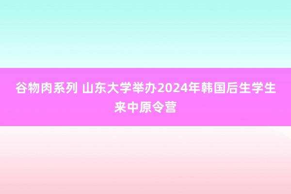 谷物肉系列 山东大学举办2024年韩国后生学生来中原令营