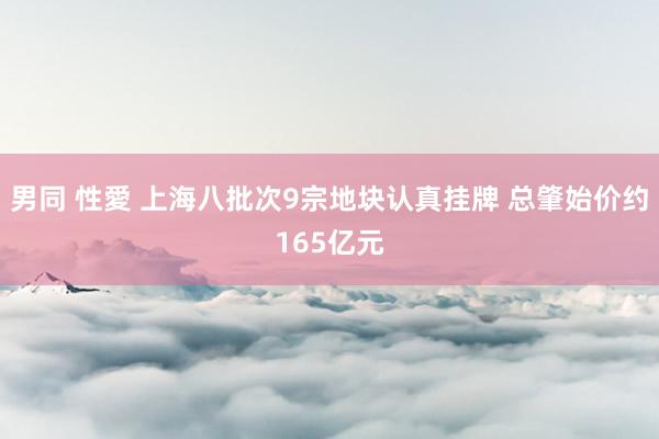 男同 性愛 上海八批次9宗地块认真挂牌 总肇始价约165亿元