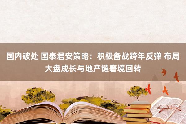 国内破处 国泰君安策略：积极备战跨年反弹 布局大盘成长与地产链窘境回转