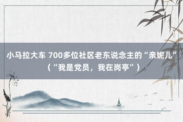 小马拉大车 700多位社区老东说念主的“亲妮儿”（“我是党员，我在岗亭”）