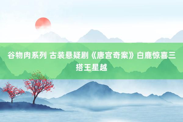 谷物肉系列 古装悬疑剧《唐宫奇案》白鹿惊喜三搭王星越