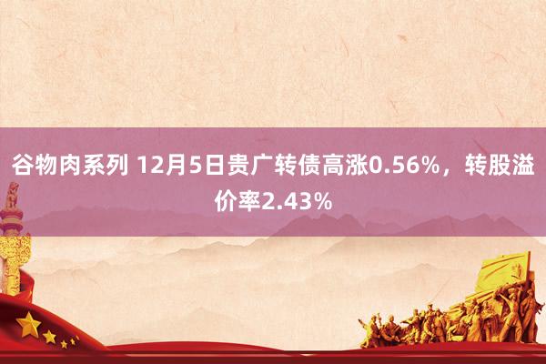 谷物肉系列 12月5日贵广转债高涨0.56%，转股溢价率2.43%