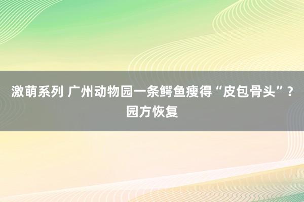 激萌系列 广州动物园一条鳄鱼瘦得“皮包骨头”？园方恢复