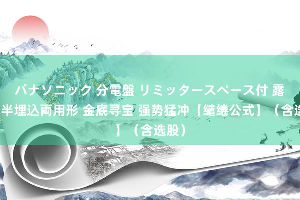 パナソニック 分電盤 リミッタースペース付 露出・半埋込両用形 金底寻宝 强势猛冲【缱绻公式】（含选股）