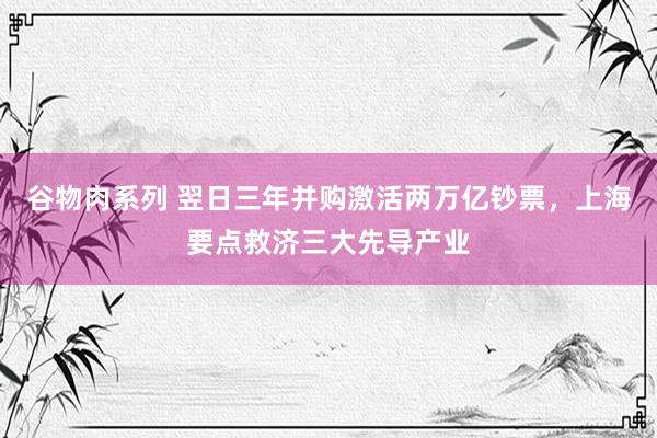 谷物肉系列 翌日三年并购激活两万亿钞票，上海要点救济三大先导产业