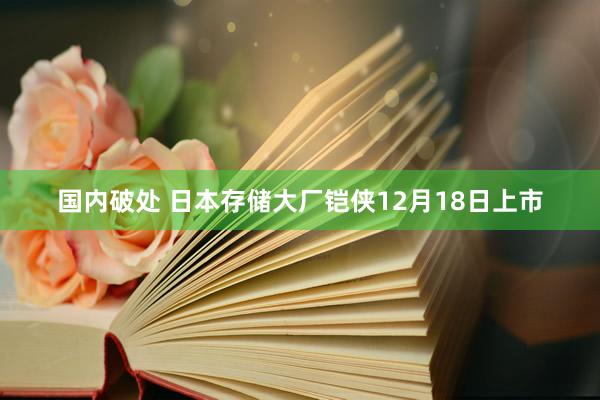 国内破处 日本存储大厂铠侠12月18日上市