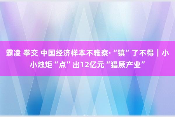 霸凌 拳交 中国经济样本不雅察·“镇”了不得｜小小烛炬“点”出12亿元“猖厥产业”