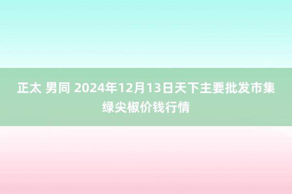 正太 男同 2024年12月13日天下主要批发市集绿尖椒价钱行情