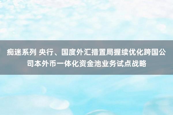 痴迷系列 央行、国度外汇措置局握续优化跨国公司本外币一体化资金池业务试点战略