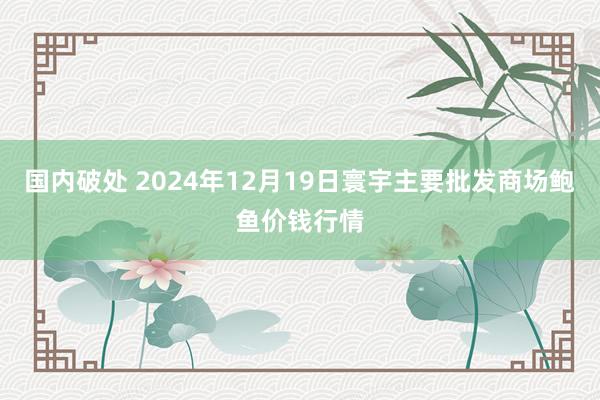 国内破处 2024年12月19日寰宇主要批发商场鲍鱼价钱行情