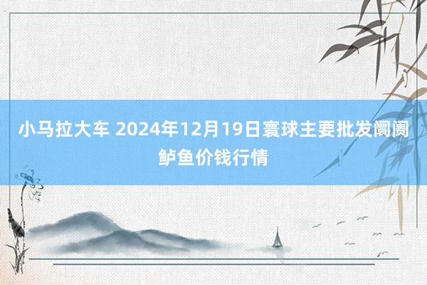 小马拉大车 2024年12月19日寰球主要批发阛阓鲈鱼价钱行情