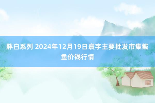 胖白系列 2024年12月19日寰宇主要批发市集鲅鱼价钱行情