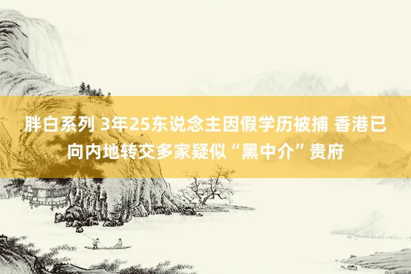 胖白系列 3年25东说念主因假学历被捕 香港已向内地转交多家疑似“黑中介”贵府