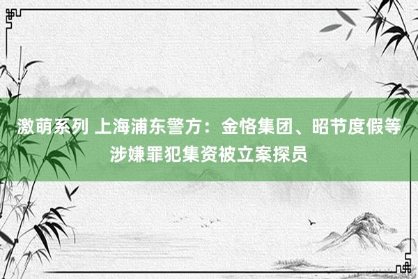 激萌系列 上海浦东警方：金恪集团、昭节度假等涉嫌罪犯集资被立案探员