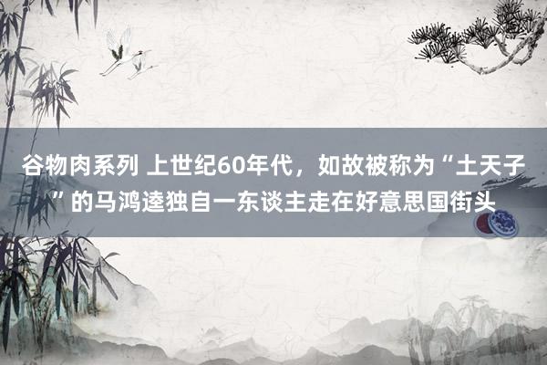 谷物肉系列 上世纪60年代，如故被称为“土天子”的马鸿逵独自一东谈主走在好意思国街头