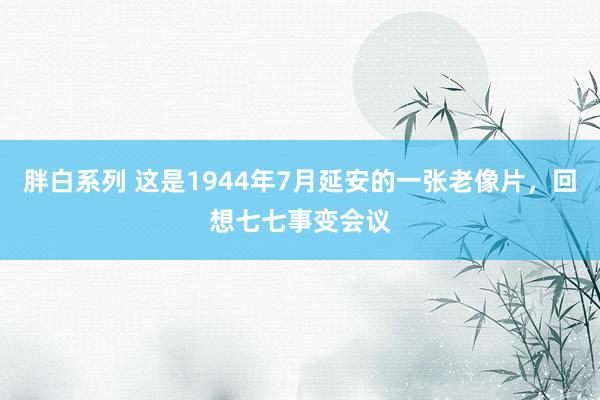 胖白系列 这是1944年7月延安的一张老像片，回想七七事变会议