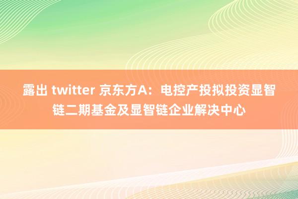 露出 twitter 京东方A：电控产投拟投资显智链二期基金及显智链企业解决中心