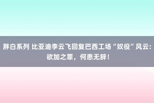 胖白系列 比亚迪李云飞回复巴西工场“奴役”风云: 欲加之罪，何患无辞！