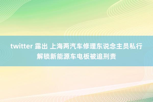 twitter 露出 上海两汽车修理东说念主员私行解锁新能源车电板被追刑责