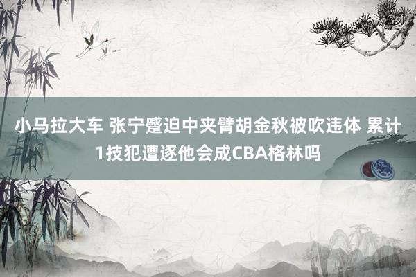 小马拉大车 张宁蹙迫中夹臂胡金秋被吹违体 累计1技犯遭逐他会成CBA格林吗