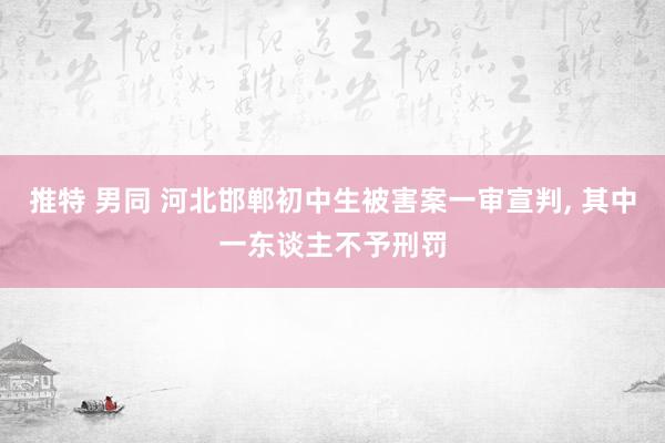 推特 男同 河北邯郸初中生被害案一审宣判， 其中一东谈主不予刑罚