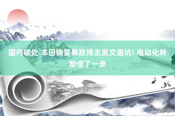 国内破处 本田销量暴跌博主发文退坑! 电动化转型慢了一步