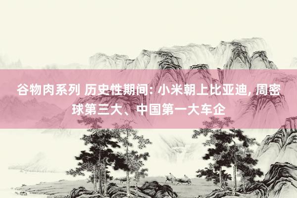 谷物肉系列 历史性期间: 小米朝上比亚迪， 周密球第三大、中国第一大车企