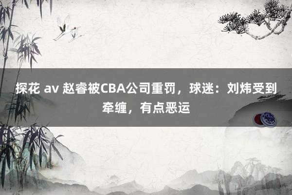 探花 av 赵睿被CBA公司重罚，球迷：刘炜受到牵缠，有点恶运