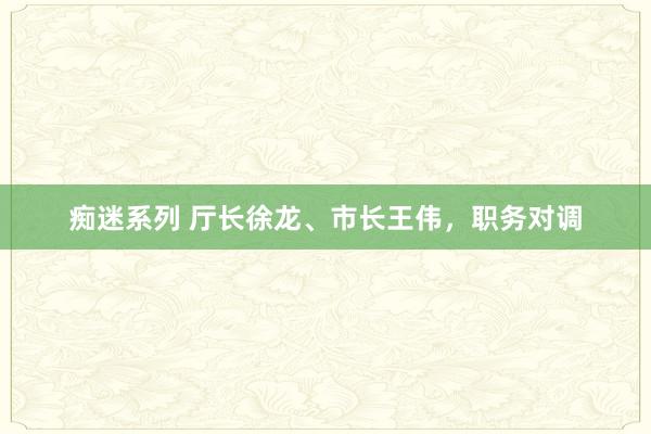 痴迷系列 厅长徐龙、市长王伟，职务对调