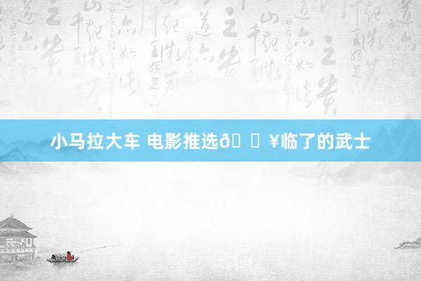 小马拉大车 电影推选🎥临了的武士