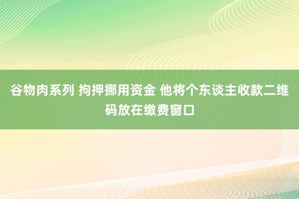 谷物肉系列 拘押挪用资金 他将个东谈主收款二维码放在缴费窗口