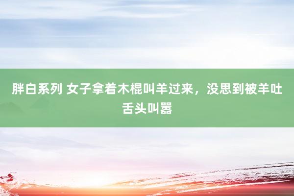 胖白系列 女子拿着木棍叫羊过来，没思到被羊吐舌头叫嚣