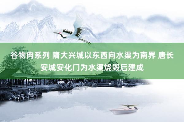 谷物肉系列 隋大兴城以东西向水渠为南界 唐长安城安化门为水渠烧毁后建成